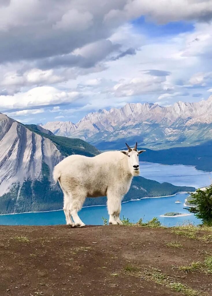 Photo Contest First Place